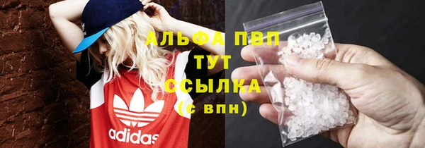 дживик Вязьма