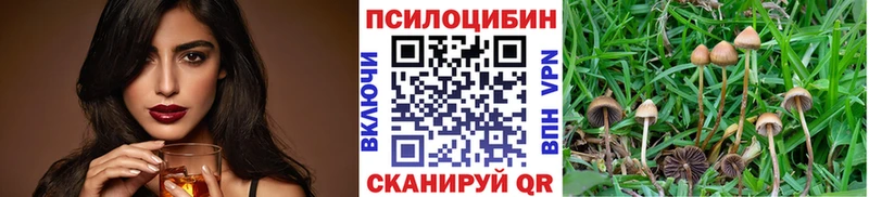 Галлюциногенные грибы Psilocybe  Купить где  Комсомольск-на-Амуре 